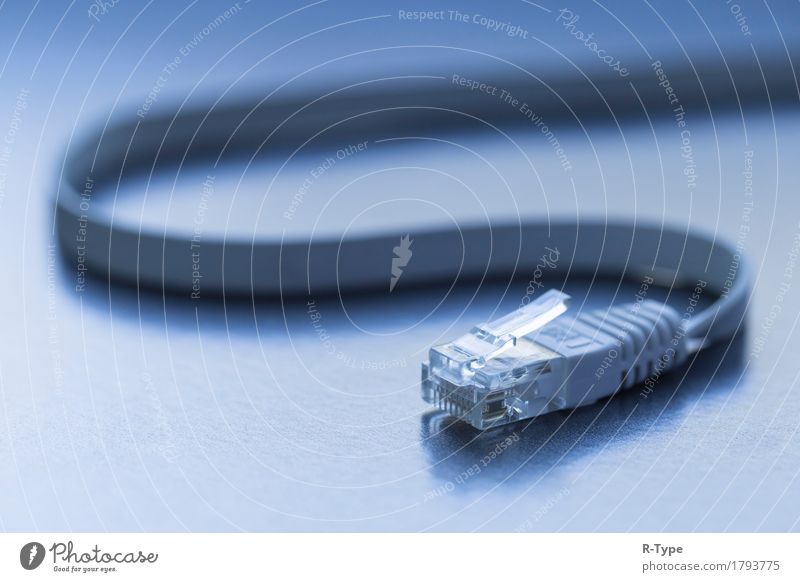 LAN connector Computer Hardware Technik & Technologie Internet Hilfsbereitschaft cable communications Verbindung data digital dynamic Gerät functional