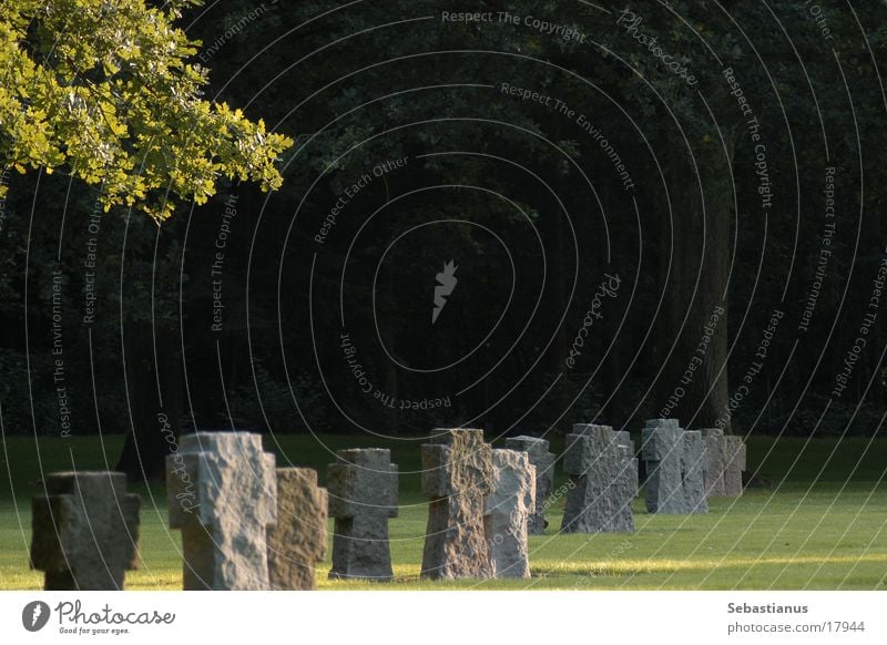 deutsche Kriegsgräberstätte Friedhof Grabstein Schatten historisch Tod Ast