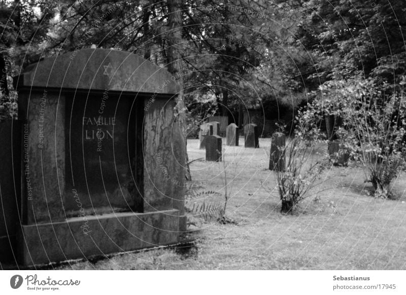 Familie Lion Friedhof Grabstein historisch Schwarzweißfoto Tod