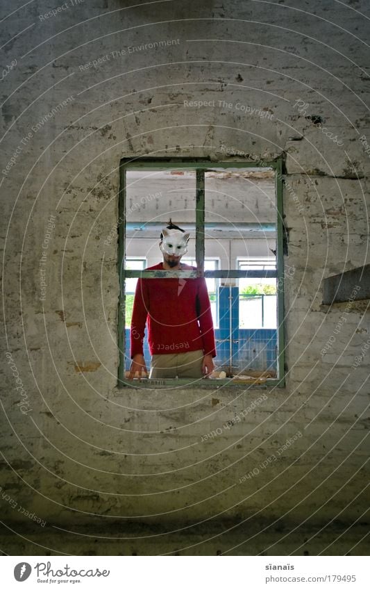 rahmenprogramm Farbfoto Gedeckte Farben Textfreiraum oben Textfreiraum unten Oberkörper Blick in die Kamera Mensch maskulin Mann Erwachsene 1 Maske Katze stehen