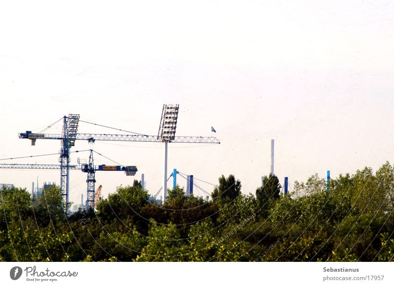 MSV Arena (Bauphase) Stadion Kran Flutlicht Fußballstadion Baum Duisburg