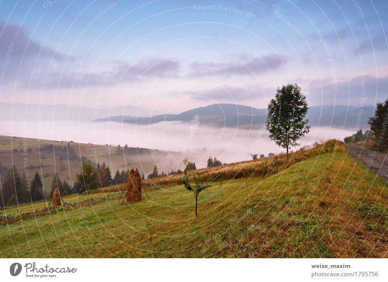 Nebeliger Morgen des Herbstes September in den Bergen Ferien & Urlaub & Reisen Ausflug Abenteuer Ferne Freiheit Berge u. Gebirge wandern Umwelt Natur Landschaft