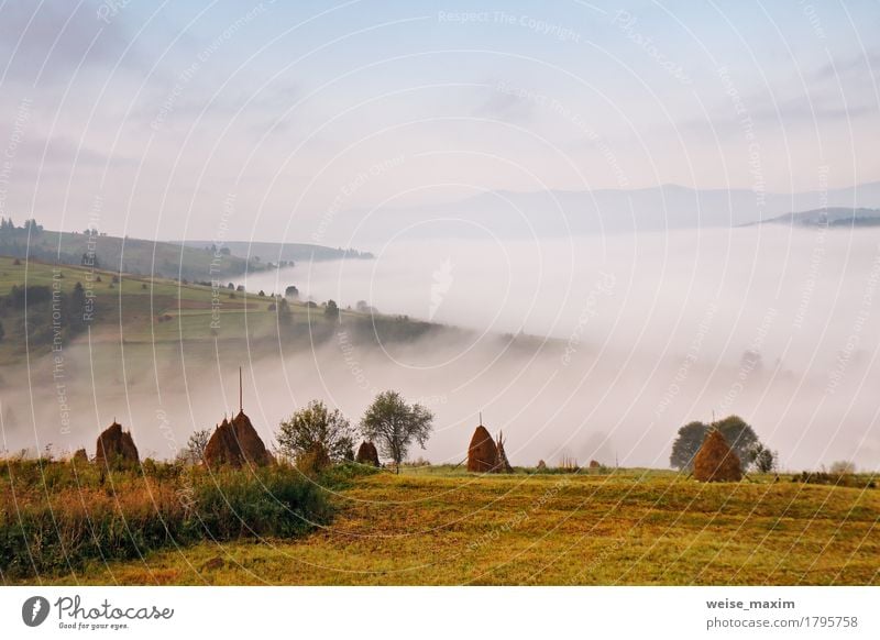 Nebeliger Morgen des Herbstes September in den Bergen Ferien & Urlaub & Reisen Tourismus Ausflug Abenteuer Ferne Freiheit Berge u. Gebirge wandern Umwelt Natur