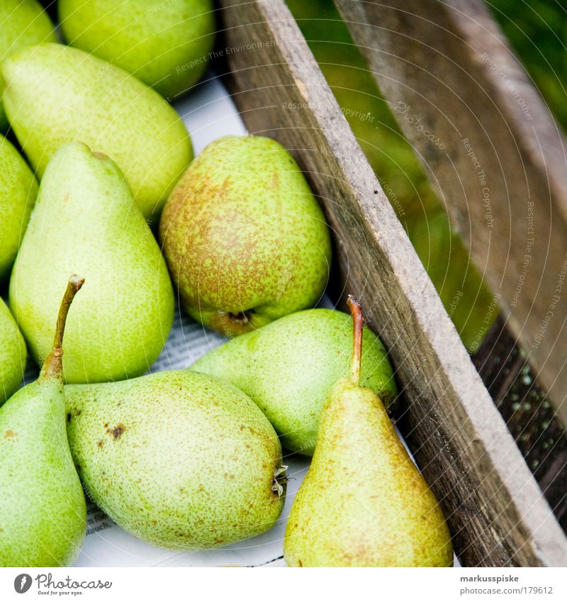 frische birnen... Menschenleer Lebensmittel Frucht Birne Birnbaum Birnbaumblatt Birnenstiel Ernährung Bioprodukte Vegetarische Ernährung Fasten Gesundheit