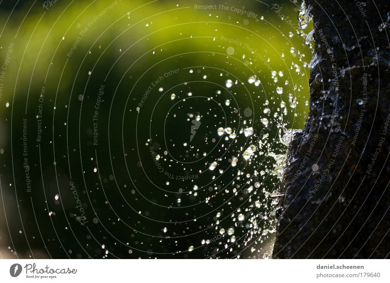 lecker Schwarzwaldwasser Textfreiraum links Umwelt Natur Wasser Wassertropfen Klima Bach Wasserfall Flüssigkeit nass Sauberkeit Bewegung bizarr rein