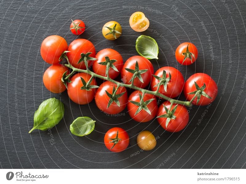 Frische Kirschtomaten und Basilikum Gemüse Kräuter & Gewürze Vegetarische Ernährung Diät dunkel frisch Gesundheit natürlich grün rot Tradition Essen zubereiten