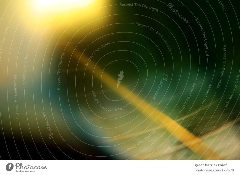 50 Farbfoto mehrfarbig Außenaufnahme Experiment abstrakt Muster Menschenleer Tag Abend Dämmerung Kontrast Silhouette Sommer Herbst Wasser blau gelb grün