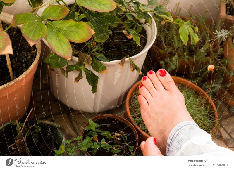 balkonleben Nagellack Balkon Leben Fuß Topfpflanze Denken Erholung genießen sitzen träumen einfach frisch schön einzigartig Erotik feminin Zufriedenheit