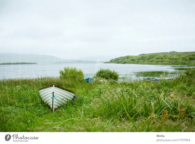 Warten Freizeit & Hobby Angeln Ausflug Umwelt Natur Landschaft Gras Seeufer Bootsfahrt Fischerboot Ruderboot liegen Einsamkeit Erholung Idylle Pause ruhig