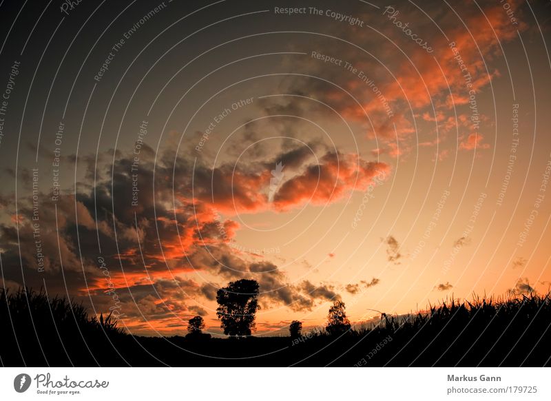 Sonnenuntergang Farbfoto Außenaufnahme Menschenleer Abend Dämmerung Sonnenaufgang Weitwinkel Sommer Natur Landschaft Himmel Wolken Wärme Feld springen gelb