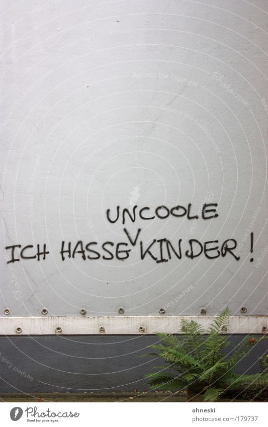 Korrektur Gedeckte Farben Außenaufnahme Textfreiraum oben Zentralperspektive Muttertag Pflanze Sträucher Farn Haus Einfamilienhaus Mauer Wand Fassade Graffiti