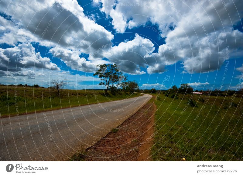 way home Farbfoto Außenaufnahme Tag Kontrast Starke Tiefenschärfe Weitwinkel Ferien & Urlaub & Reisen Veranstaltung Natur Landschaft Himmel Wolken