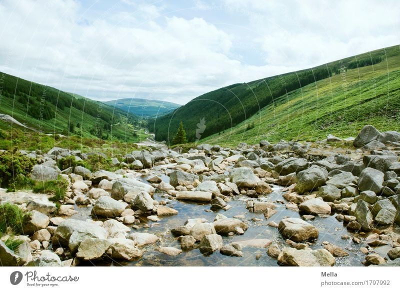 Familie Geröllheimer Umwelt Natur Landschaft Felsen Schlucht Bach Fluss Geröllfeld Stein Republik Irland natürlich Perspektive Hügel abwärts Wildbach Tal