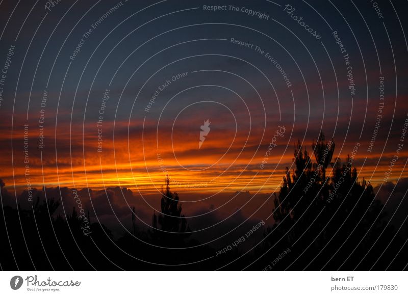 der himmel brennt Farbfoto Außenaufnahme Menschenleer Abend Dämmerung Licht Kontrast Silhouette Lichterscheinung Sonnenaufgang Sonnenuntergang Totale Weitwinkel