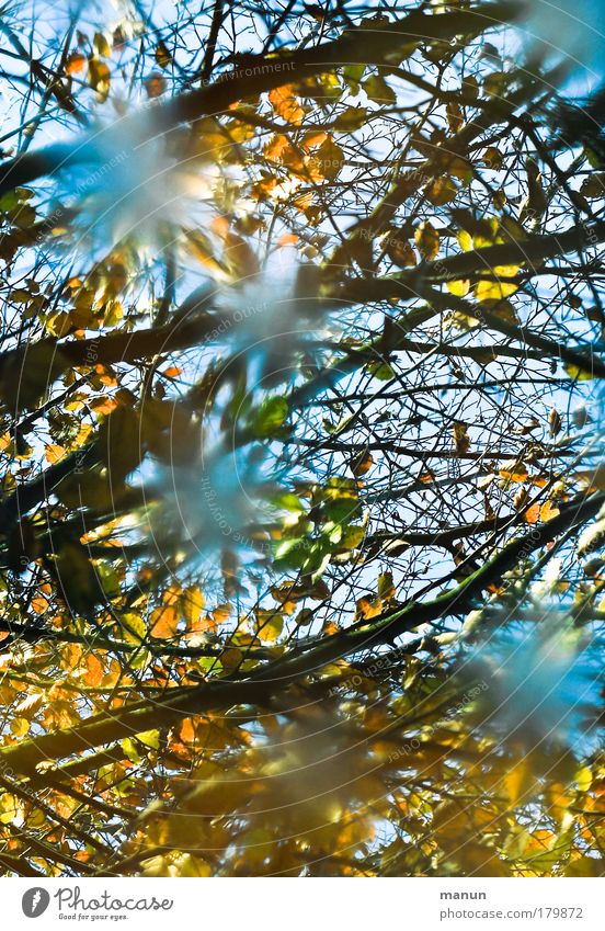 Wasserfarben Farbfoto Außenaufnahme abstrakt Muster Strukturen & Formen Tag Licht Schatten Kontrast Silhouette Reflexion & Spiegelung Lichterscheinung