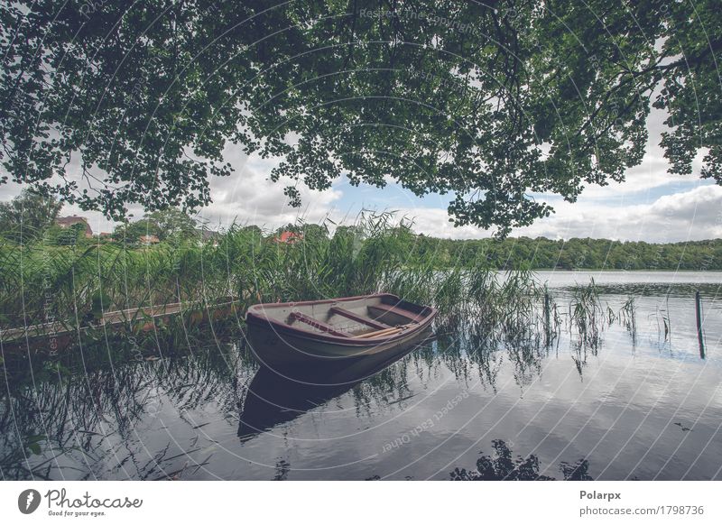 Kleines Boot unter grünem Reed schön Erholung ruhig Freizeit & Hobby Ferien & Urlaub & Reisen Natur Landschaft Küste Teich See Fluss Verkehr Segelboot