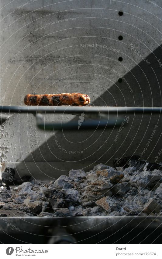 Wurst auf dem Grill Farbfoto Gedeckte Farben Außenaufnahme Menschenleer Textfreiraum oben Textfreiraum unten Tag Licht Schatten Kontrast Sonnenlicht