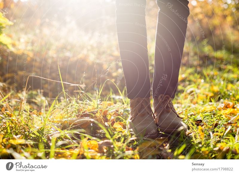 Beine in den stilvollen Stiefeln auf Herbsthintergrund schön Sommer Sonne Mensch Mädchen Frau Erwachsene Mann Fuß Natur Blatt Park Wald Jeanshose Schuhe