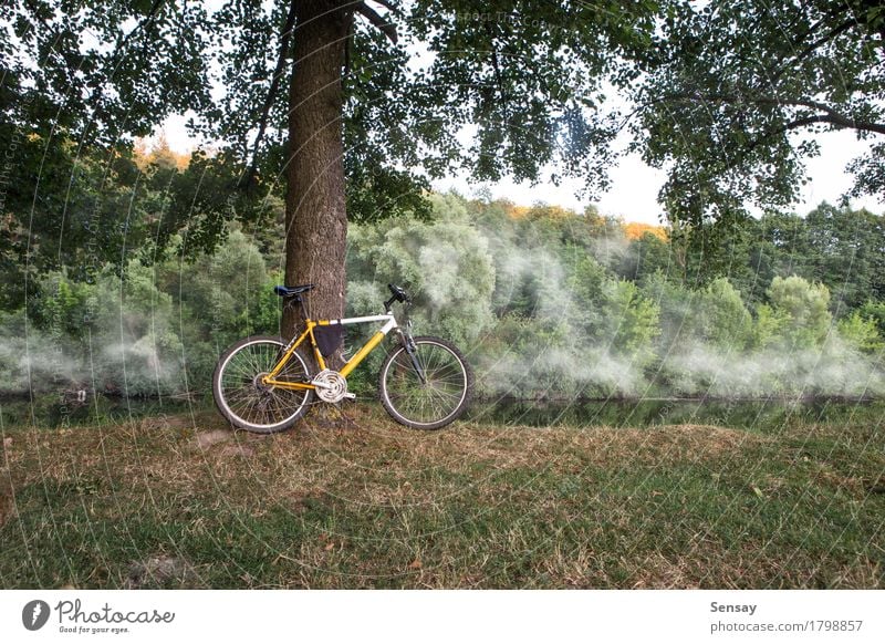 Mountainbike am Ufer des Flusses Ausflug Sommer Berge u. Gebirge Geldinstitut Landschaft Herbst Nebel Baum Gras Wald gelb grün Fahrrad Fahrradfahren mtb Tasche