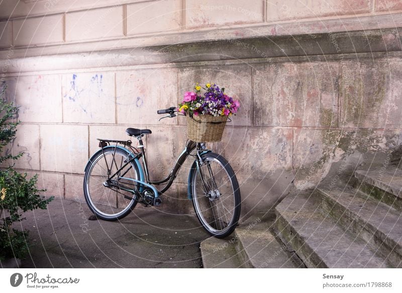 Fahrrad mit einem Korb voller Blumen an der alten Mauer Stil Design schön Ferien & Urlaub & Reisen Dekoration & Verzierung Natur Kleinstadt Stadt Architektur