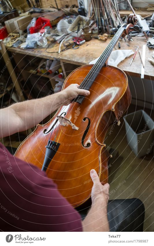 Geigenbau IIIII Stil Musik Bildung Arbeit & Erwerbstätigkeit Beruf Handwerker Mensch Kunst Künstler ästhetisch Geigenbauer Studioaufnahme Nahaufnahme