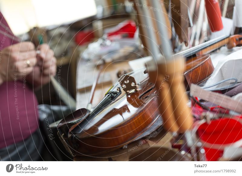 Geigenbau III Stil Musik Arbeit & Erwerbstätigkeit Beruf Handwerker Mensch Kunst Künstler ästhetisch Geigenbauer Farbfoto Studioaufnahme Nahaufnahme