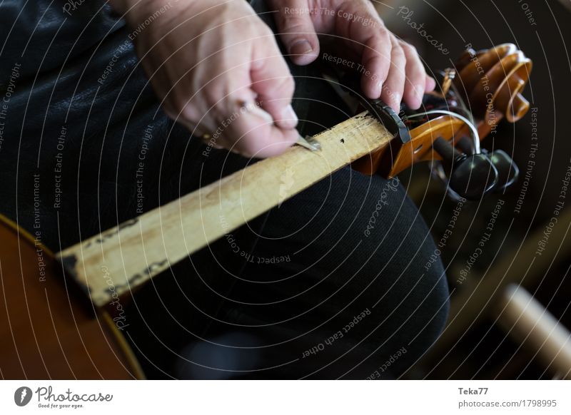 Geigenbau I Stil Musik Beruf Handwerker Arbeitsplatz Mensch Kunst Künstler Beginn ästhetisch Geigenbauer Farbfoto Studioaufnahme Nahaufnahme Detailaufnahme