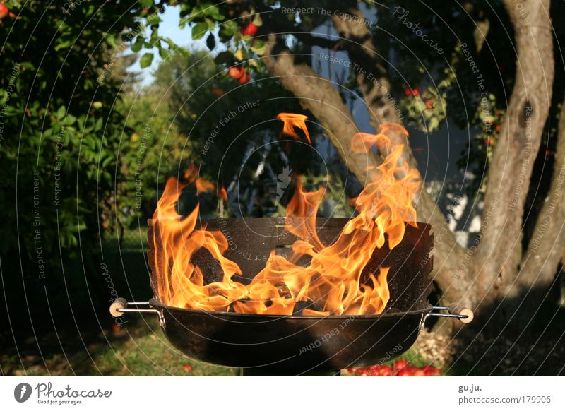 DER FLAMMENDE GRILL MKII Farbfoto Außenaufnahme Abend Sonnenlicht Sommer Feste & Feiern Natur Feuer Garten Grill heiß Grillen Park rot Idylle orange Metall Baum