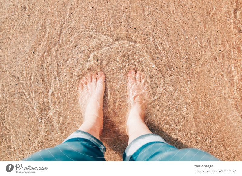 soft water Mensch feminin Körper Beine Fuß Schwimmen & Baden stehen Strand Kühlung Erfrischung Jeansstoff hochkrempeln Wellen seicht Zehen Wasser Meer