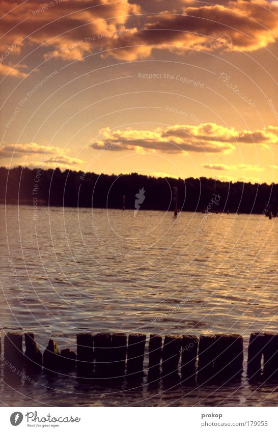 Gegenbrille durch Sonnenlicht Farbfoto Außenaufnahme Tag Gegenlicht Totale Umwelt Natur Landschaft Pflanze Wasser Himmel Wolken Sommer Herbst Schönes Wetter