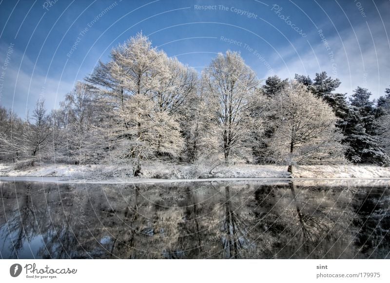 schnee am see Farbfoto Außenaufnahme Menschenleer Textfreiraum oben Tag Sonnenlicht Starke Tiefenschärfe Weitwinkel Winter Schnee Winterurlaub Natur Landschaft