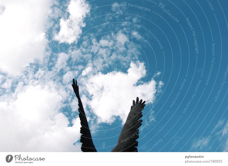 Flügelwesen Engel Himmel Himmel (Jenseits) Wolken blau weiß Wetter Bronze Vogel fliegen Freiheit Sommer Schweben Hoffnung Feder