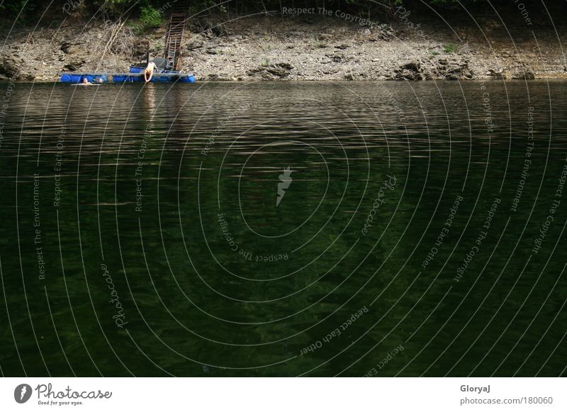 Sprung ins kalte Wasser Farbfoto Außenaufnahme Textfreiraum links Textfreiraum rechts Textfreiraum unten Abend Reflexion & Spiegelung Sommer Seeufer springen