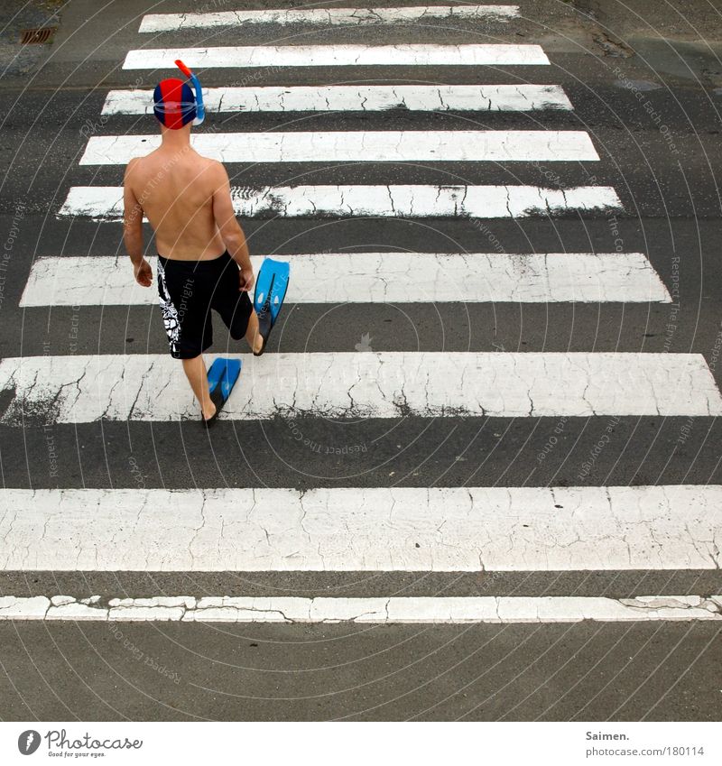 auf der suche II Farbfoto Außenaufnahme Tag Blick nach hinten Mensch maskulin Mann Erwachsene 1 Stadt Verkehrswege Personenverkehr Zebrastreifen Fußgänger