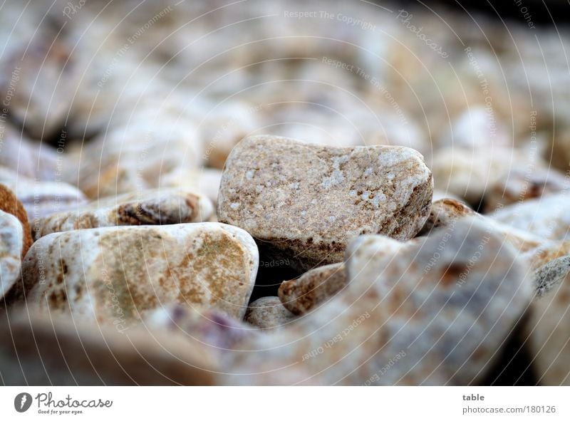 harte Zeiten . . . Farbfoto Gedeckte Farben Menschenleer Textfreiraum oben Froschperspektive Umwelt Stein gebrauchen schreien werfen eckig fest Zusammensein