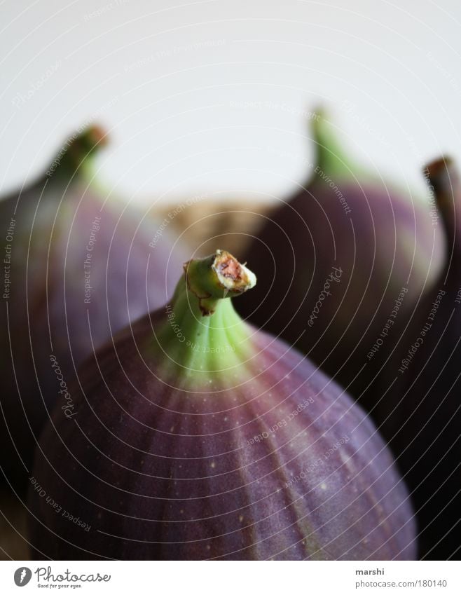 Ficus Farbfoto Nahaufnahme Detailaufnahme Makroaufnahme Lebensmittel Frucht Ernährung Bioprodukte Natur Pflanze Baum grün violett lecker Gesundheit 4 Unschärfe