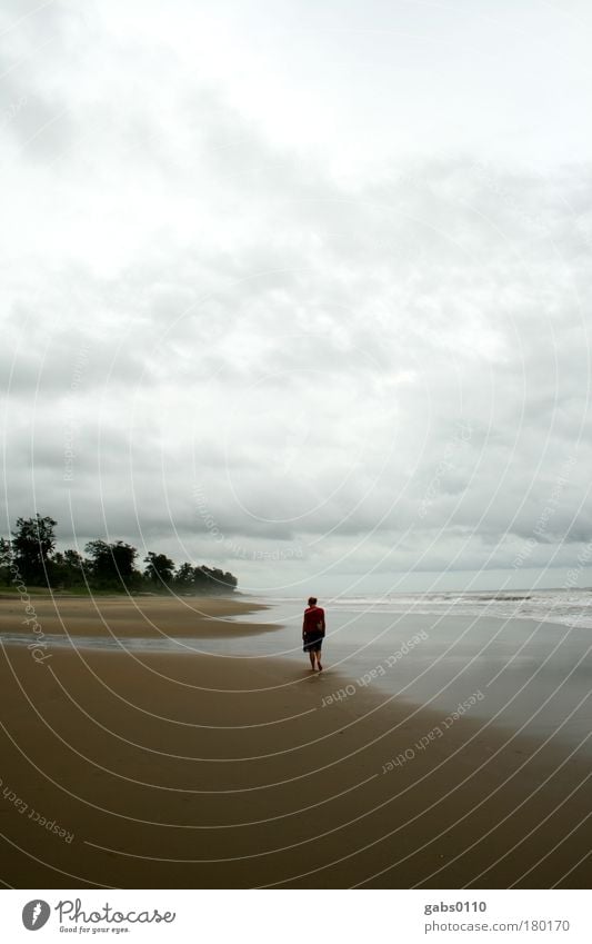 einsam Farbfoto Außenaufnahme Textfreiraum oben Textfreiraum unten Textfreiraum Mitte Tag Mensch 1 gehen Strand Wolken Palme Himmel Meer Wellen Wasser Wind