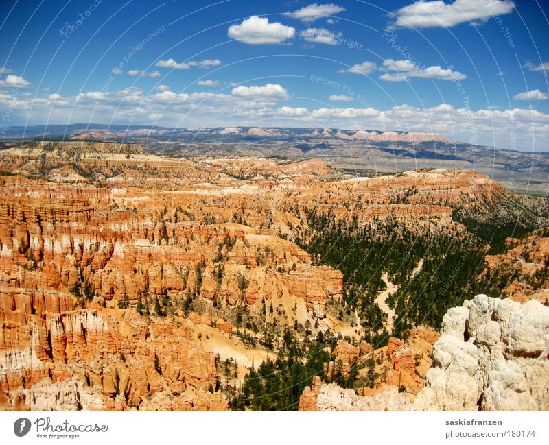 Bryce. Farbfoto Außenaufnahme Menschenleer Tag Sonnenlicht Ferien & Urlaub & Reisen Tourismus Ausflug Ferne Freiheit Sommer Sommerurlaub Umwelt Natur Landschaft