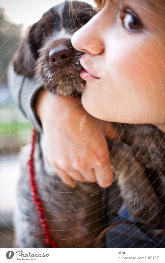 mein neuer freund Farbfoto Außenaufnahme Nahaufnahme Tag Schwache Tiefenschärfe Totale Porträt Tierporträt feminin Auge Mund Lippen 1 Mensch 18-30 Jahre