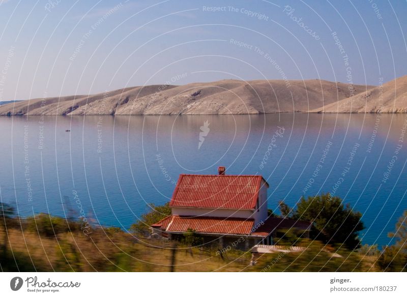 Haus am Meer Ferne Sommer Sommerurlaub Sonne Insel Natur Landschaft Sand Luft Wasser Wolkenloser Himmel Schönes Wetter Wärme Sträucher Küste Bucht Pag Kroatien