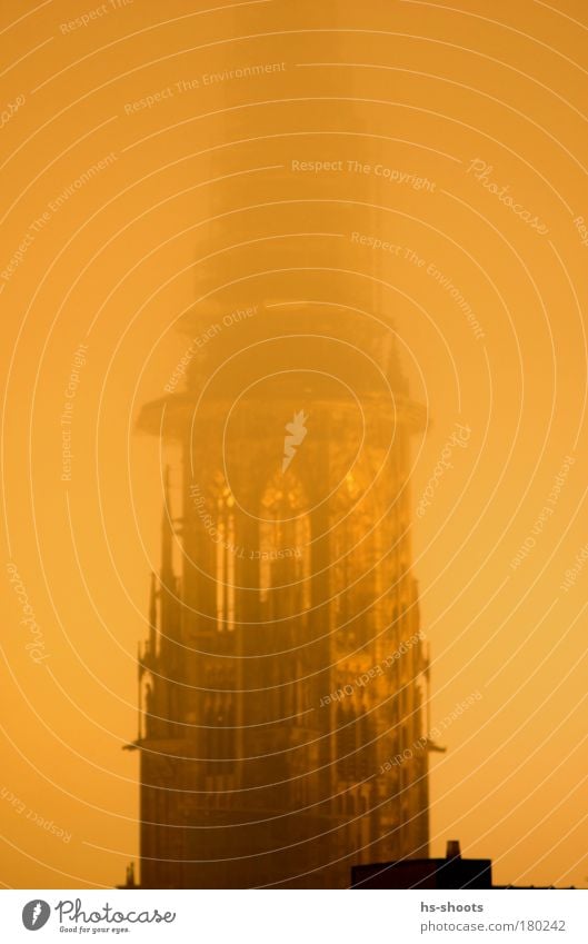 Freiburger Münster im Winter bei Nebel Farbfoto Abend Dämmerung Nacht Freiburg im Breisgau Deutschland Kirche Turm Bauwerk Gebäude Architektur Stein gelb gold