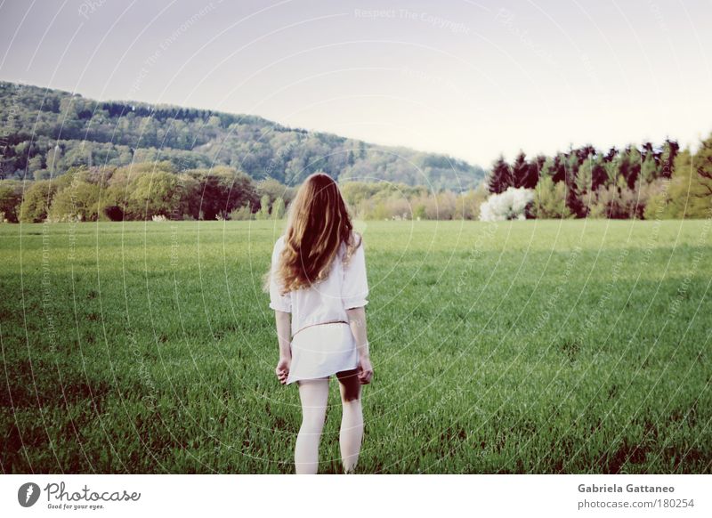 run, before time takes your dreams away Farbfoto Außenaufnahme Morgen Blick nach hinten Wegsehen feminin Haare & Frisuren Beine Landschaft Erde Feld Wald Hügel