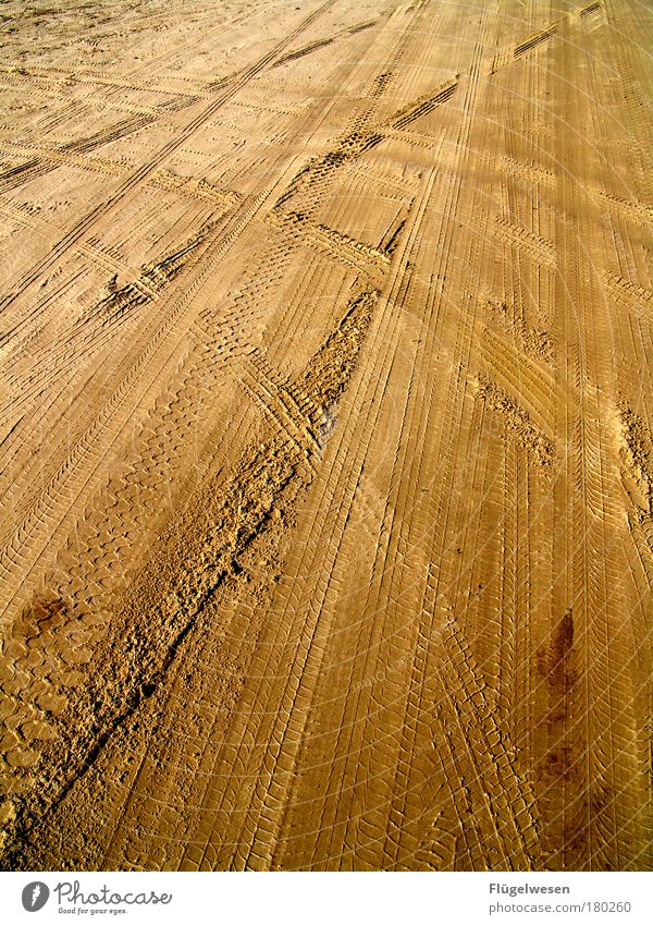 Verwegen Farbfoto Außenaufnahme Umwelt Natur Erde Sand Klima Seeufer Strand Straße Wege & Pfade Wegkreuzung Bewegung fahren laufen Tatkraft Geschwindigkeit