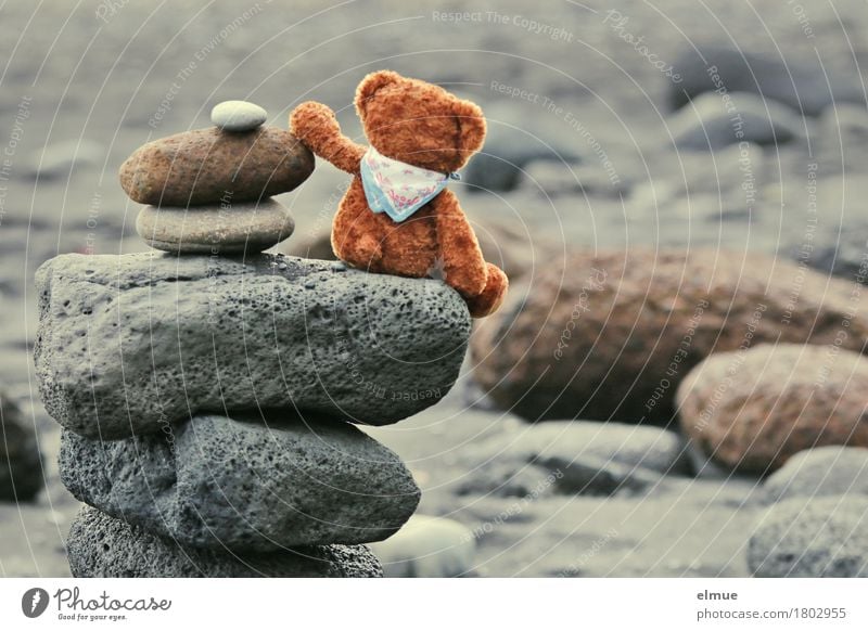 Teddy Per in Island (3) Spielen Ferien & Urlaub & Reisen Strand Natur Küste Teddybär Stein Steinmännchen Troll Blick sitzen Zusammensein Glück klein Freude