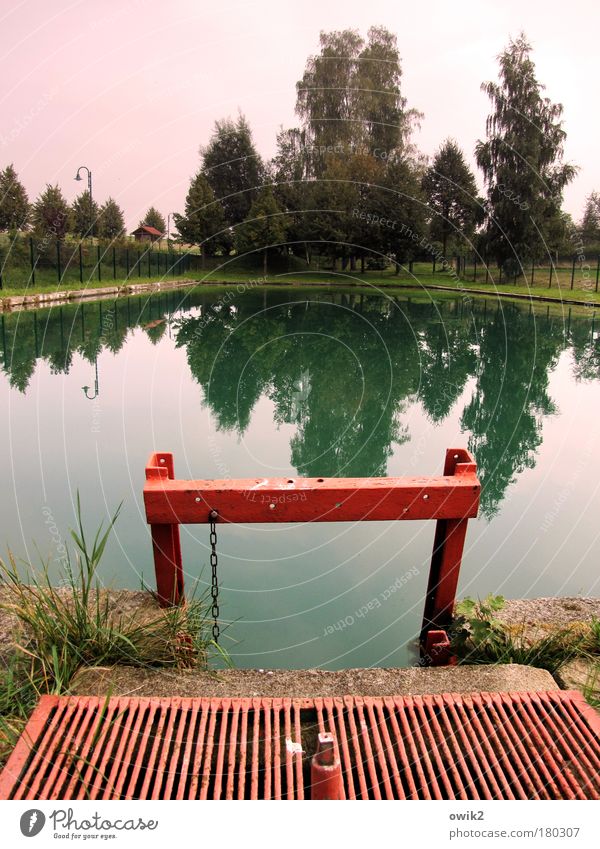 Freibad Tauscha Farbfoto Außenaufnahme Nahaufnahme Menschenleer Textfreiraum oben Tag Licht Schwache Tiefenschärfe Freizeit & Hobby Sportstätten Schwimmbad