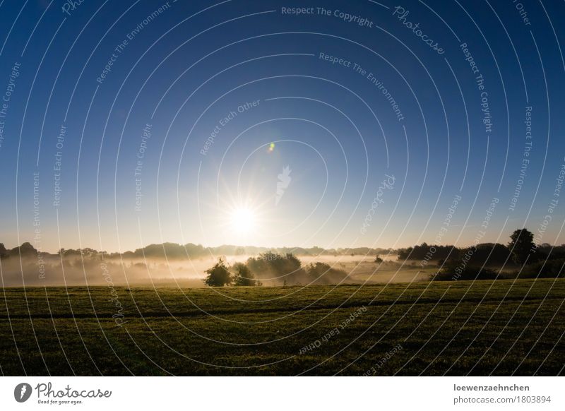 Nebeldecke Ausflug Natur Landschaft Wolkenloser Himmel Schönes Wetter Menschenleer außergewöhnlich Unendlichkeit schön Zufriedenheit Begeisterung Romantik