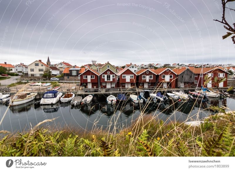 Kleiner Hafen Angeln Ferien & Urlaub & Reisen Tourismus Ferne Haus Wasser Wolken Dorf Kleinstadt bevölkert Bootsfahrt Motorboot maritim Farbfoto mehrfarbig