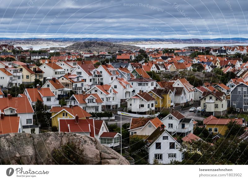 Häusermeer Dorf Kleinstadt bevölkert Haus rot weiß Leben Ferien & Urlaub & Reisen Häusliches Leben Farbfoto Außenaufnahme Menschenleer Tag