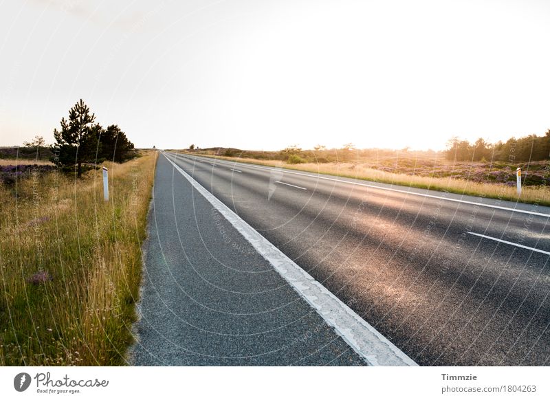 lonely road Sonne Sommer Schönes Wetter Verkehrswege Autofahren Straße Freude Zufriedenheit schön Natur Tourismus Güterverkehr & Logistik