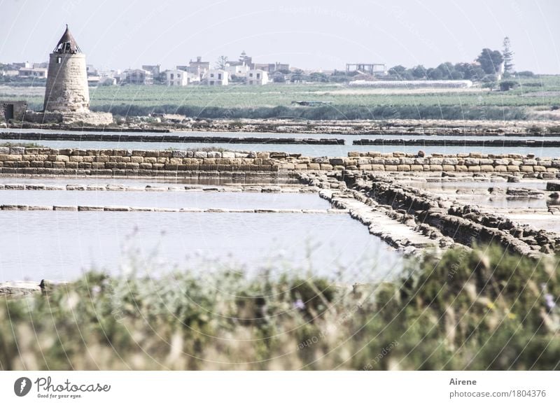 Meer Salz Mühle Kochsalz Wirtschaft Landwirtschaft Forstwirtschaft Saline Landschaft Küste Trapani Italien Sizilien Fischerdorf Menschenleer Ruine Bauwerk